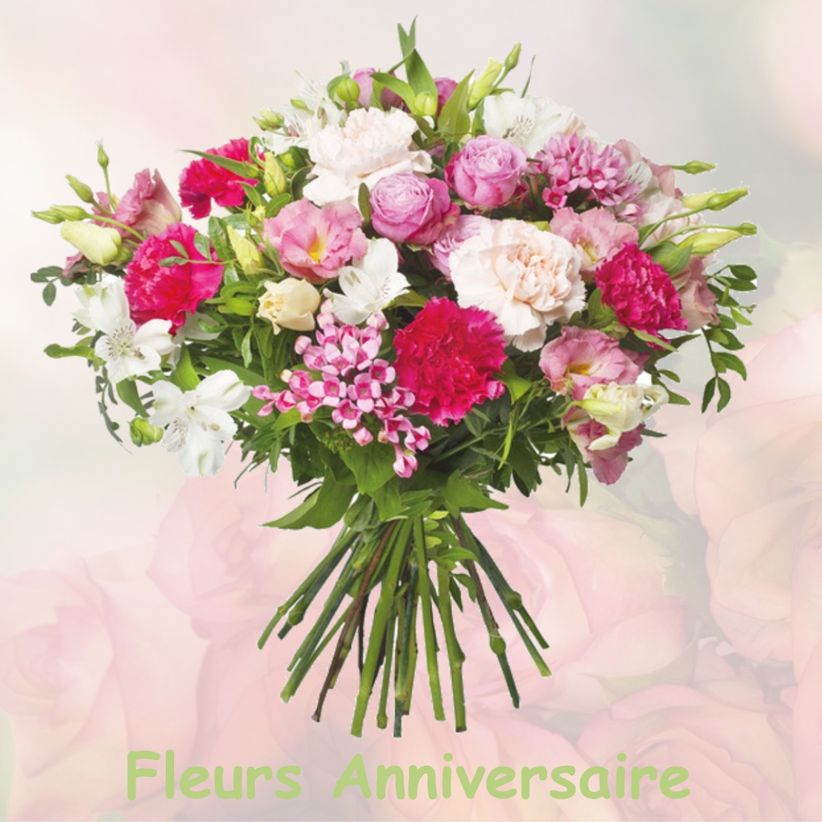 fleurs anniversaire FRANCUEIL